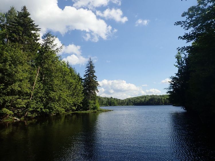 Naked Hiking Day in Vermont: »Little Rock Pond« - Kleiner Felsenweiher.