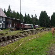 09 The 'Rennsteig' Railway Station ...[de]09 Der Rennsteigbahnhof[nl]09 Het station Rennsteig[fr]09 La gare de Rennsteig