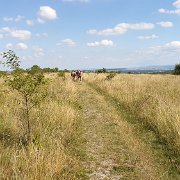 Panorama with group of hikers in the buff[de]Panorama mit Nacktwandergruppe[nl]Panorama met groep blote wandelaars[fr]Panorama avec un groupe de randonneurs nus