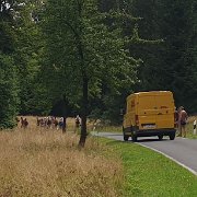 ... there is a lot of traffic[de]... ist viel Verkehr[nl]... met veel verkeer[fr]... c'est beaucoup de trafic