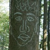 So 25: Unvermittelt stößt man auf Kunst am Baum[en]Su 25: Suddenly, you encounter art at a tree [nl]Zo 25-8: En dan plotseling: kunst op een van de bomen [fr]Dim 25 : Soudain vous tombez sur de l'art sur un arbre