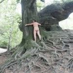 Baum