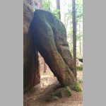 Fallstein