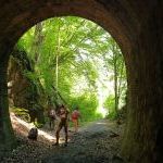 Tunnel
