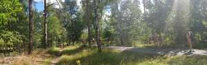 Panoramafoto Aufstieg zum Galgenberg