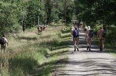Reitweg