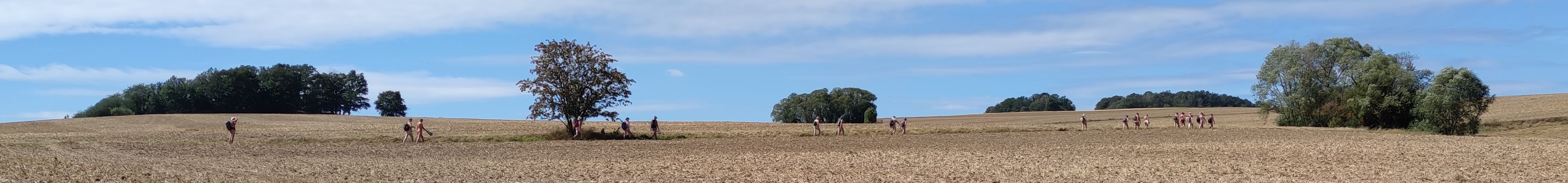Bei über 40 WandererInnen zieht sich die Gruppe in die Länge