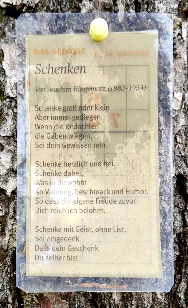 Kunst im Walde - Ein Ringelnatz-Gedicht Kunst im Walde - Ein Ringelnatz-Gedicht