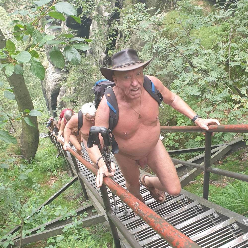 Treppen und Leitern sorgen für bequemen Aufstieg