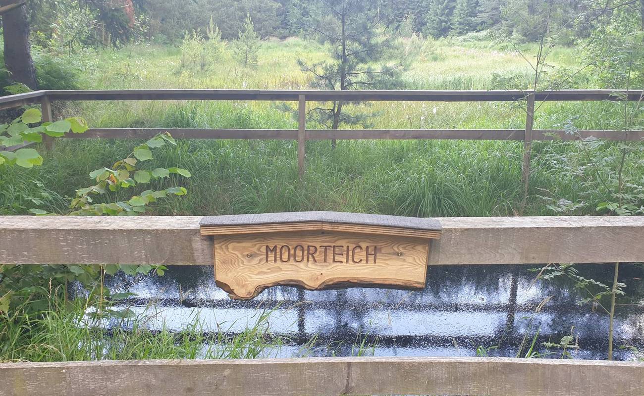 Der Moorteich - ein lokales Biotop