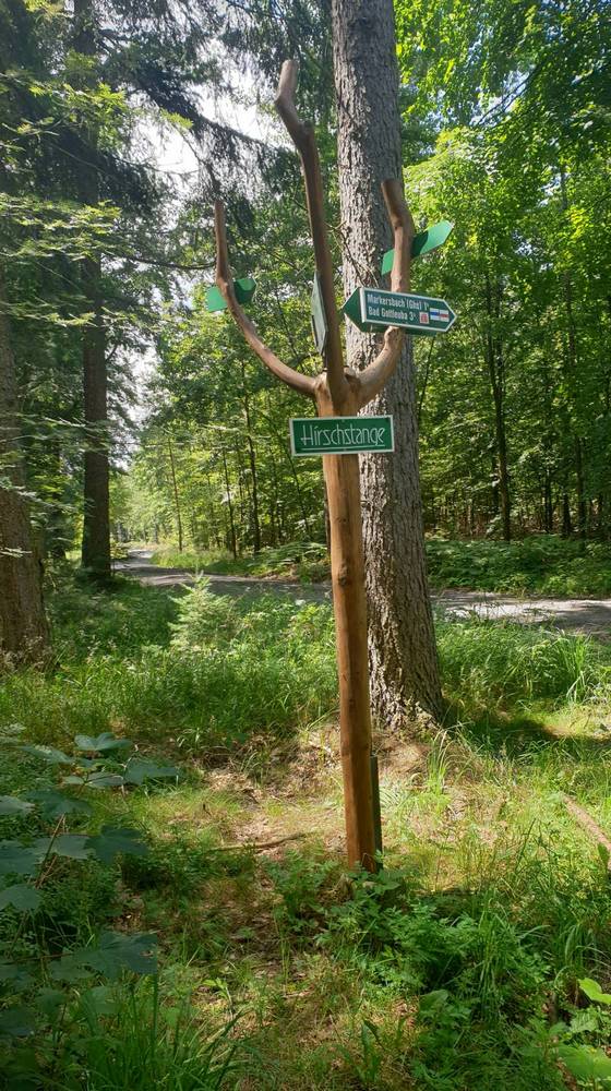 An der »Hirschstange« steht ein auffällig geformter Wegweiser