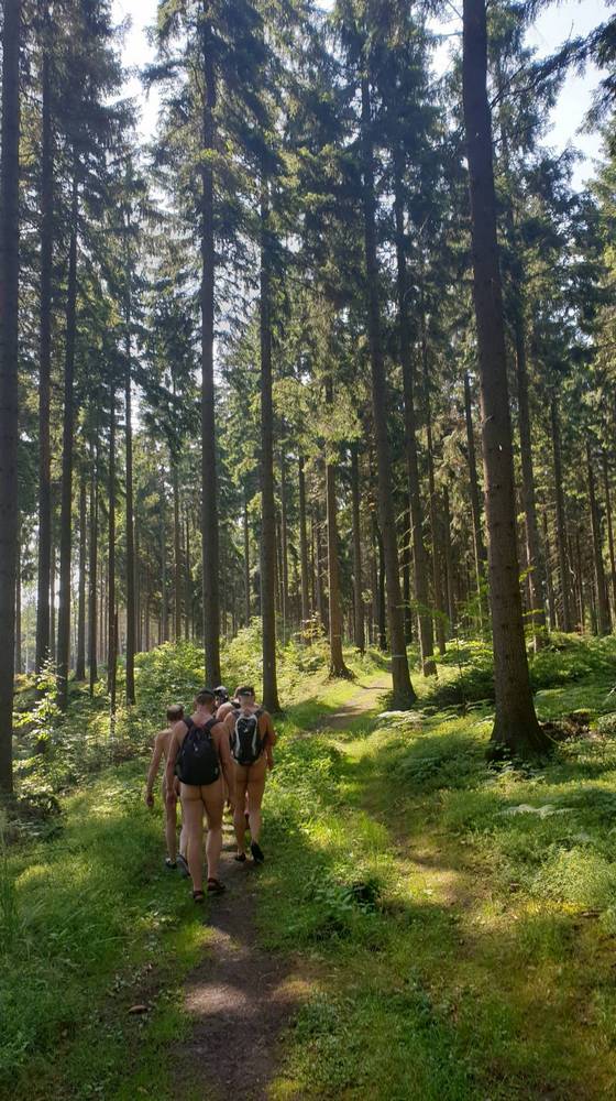 Wanderung auf dem Forststeig