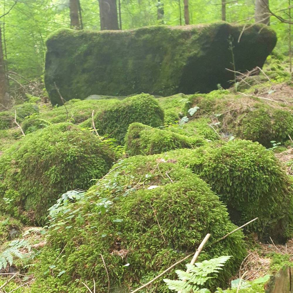 Zirkelstein
