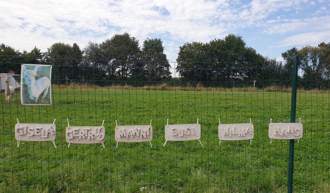 Die anderen Mitglieder der Alpaka-Familie haben auch Namen <i>Foto: Rainer</i>