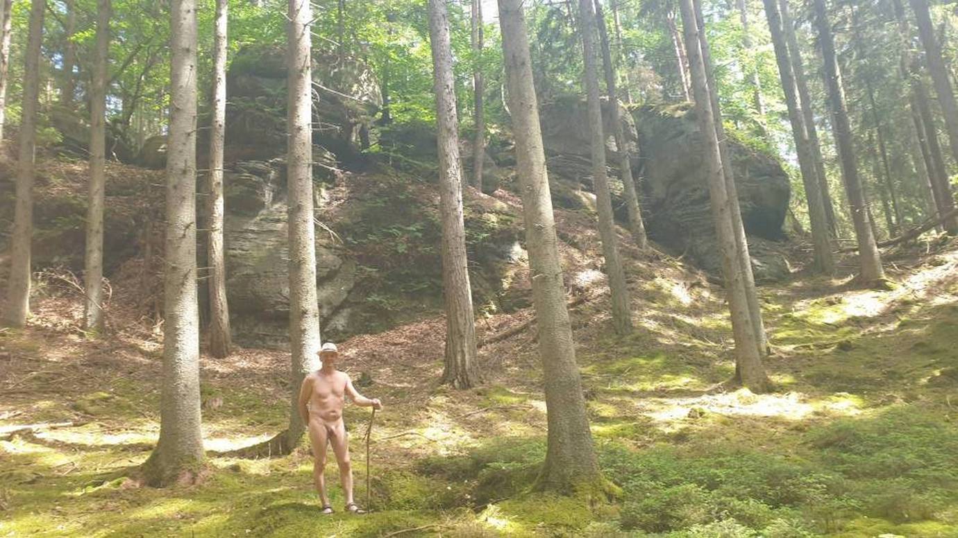 17/18 Sandsteinhügel im Walde