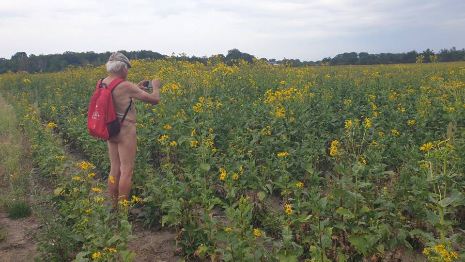 Emsdetten 14/20 Warum baut man als Landwirt auf dem Acker Blumen an?