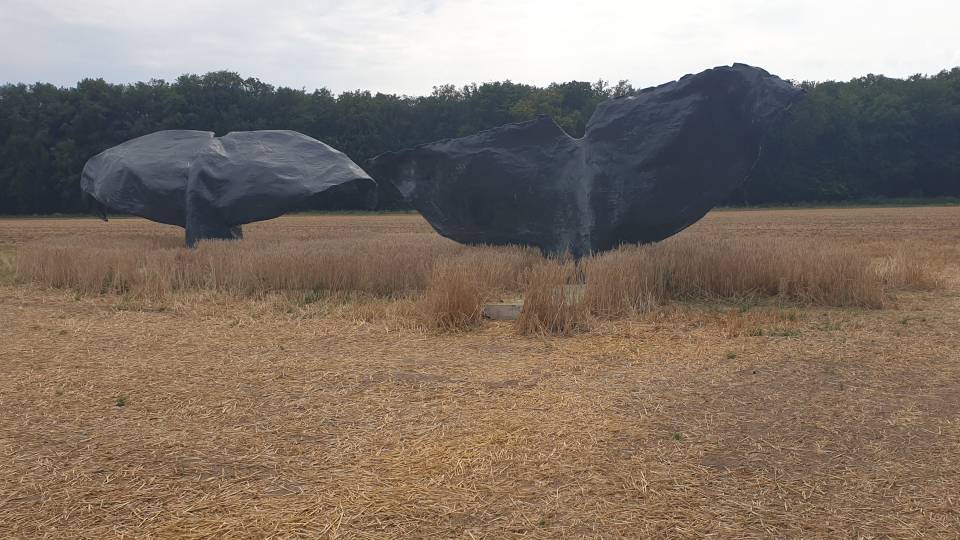 Emsdetten 18/20 Kunst auf dem Acker