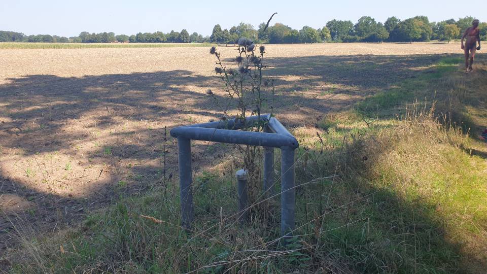 Kanal 7/36 Auch eine Distel braucht Schutz, um wachsen zu können