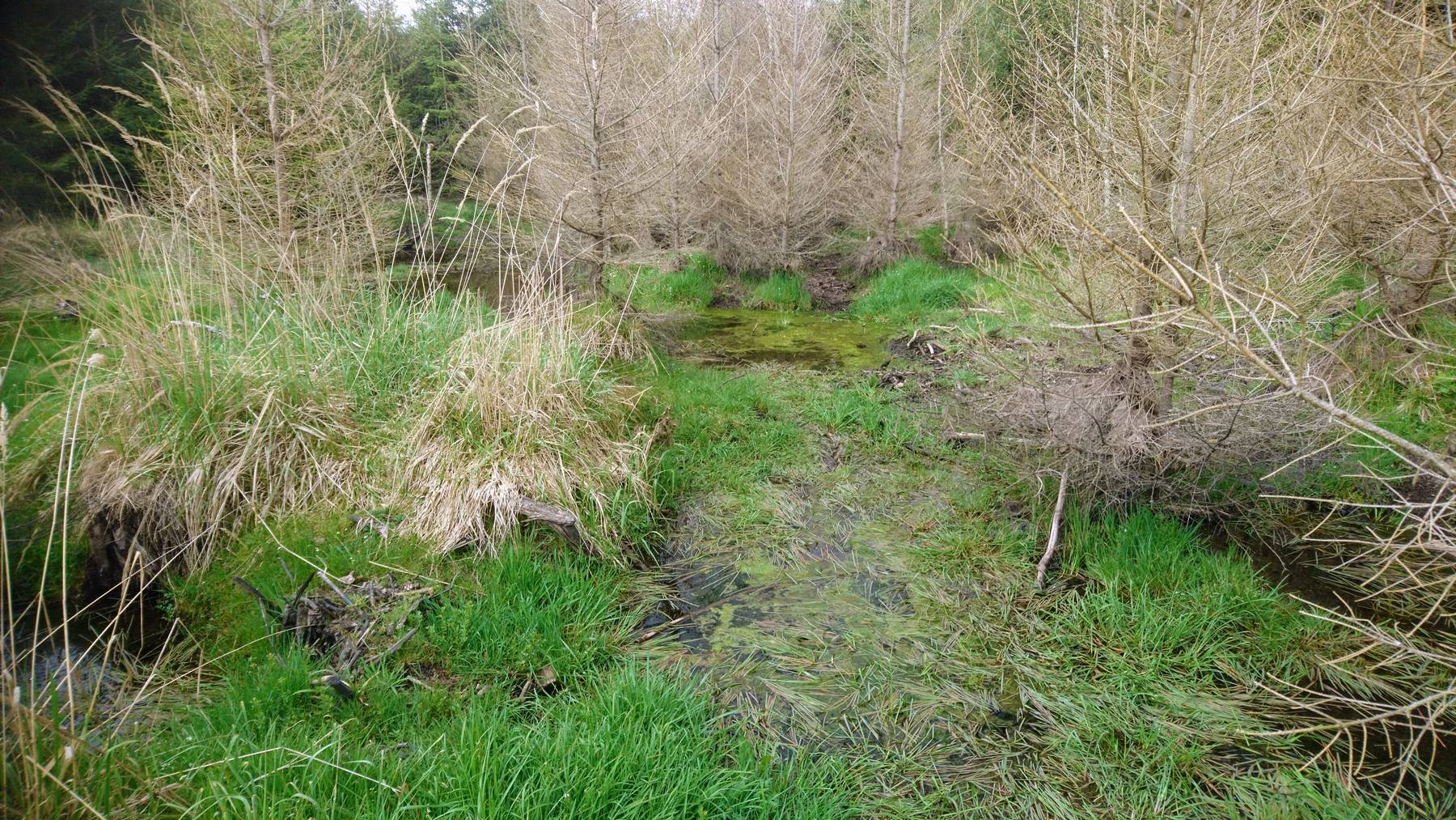 Madbach 8(14) Wenn der Weg durch solch einladende Fußbad-Areale führt, wird es für alle Zeit, die Füße von den Sandalen zu befreien.