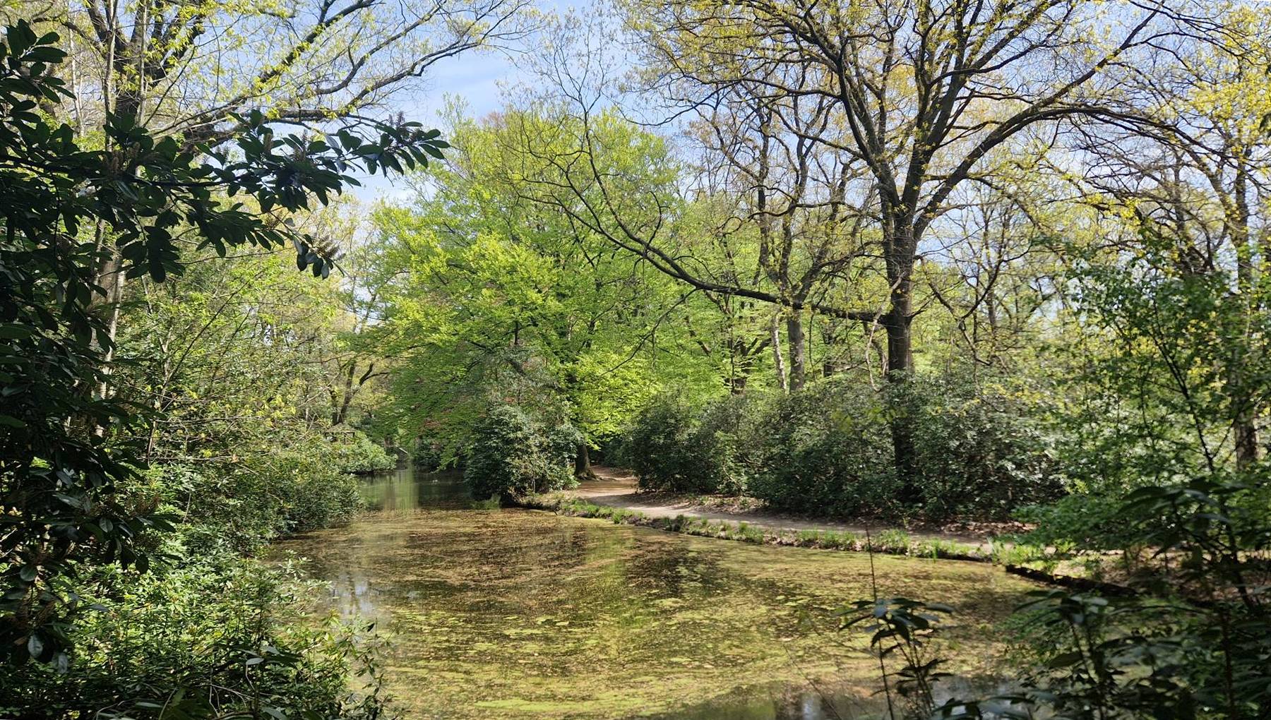 Meinweg 5(14) In der alten Gartenanlage eingebettet liegen ein paar lauschige Teiche.