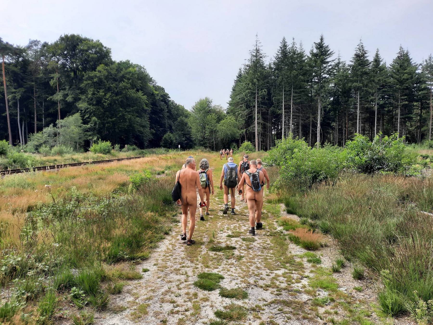 Der Wanderweg parallel zur Bahnstrecke (Do 1|8)