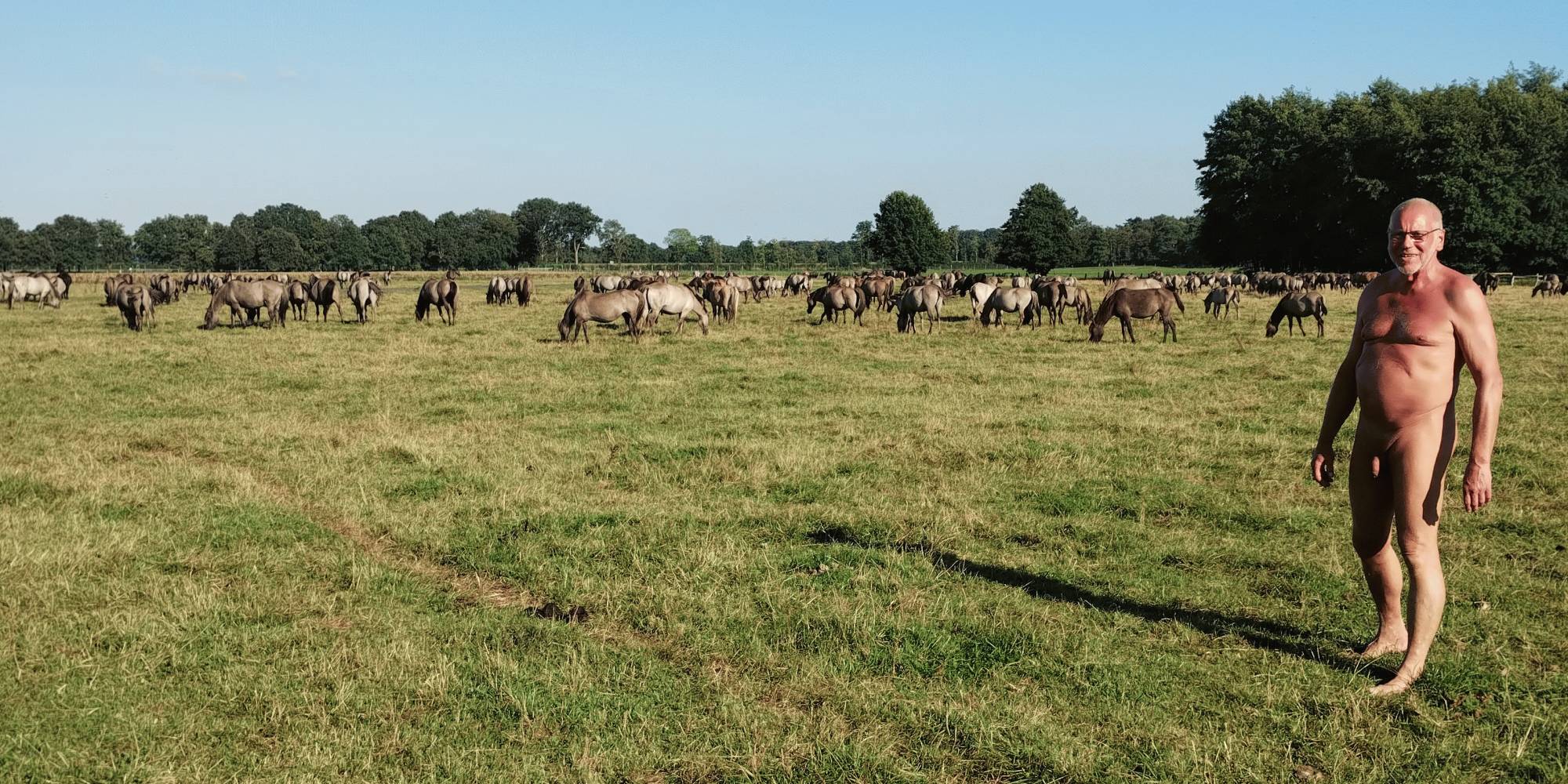 Nach der Radeltour ging es zu den Wildpferden im Merfelder Bruch. (11|16)