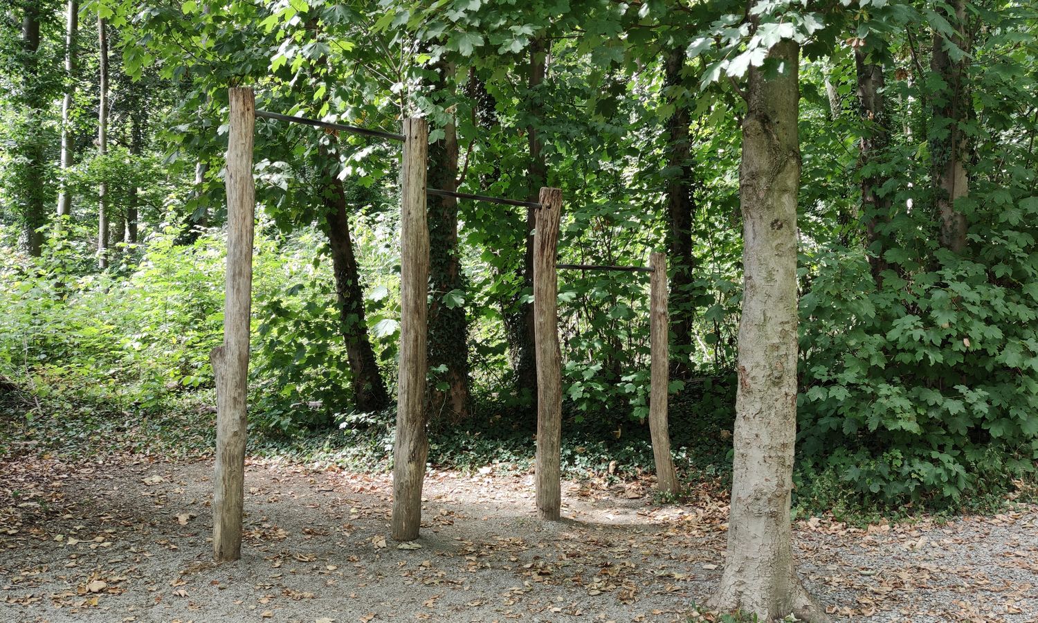 8(15) Reckstangen in 3 Höhen - da trau ich mich nur d'ran, wenn keiner zuguckt