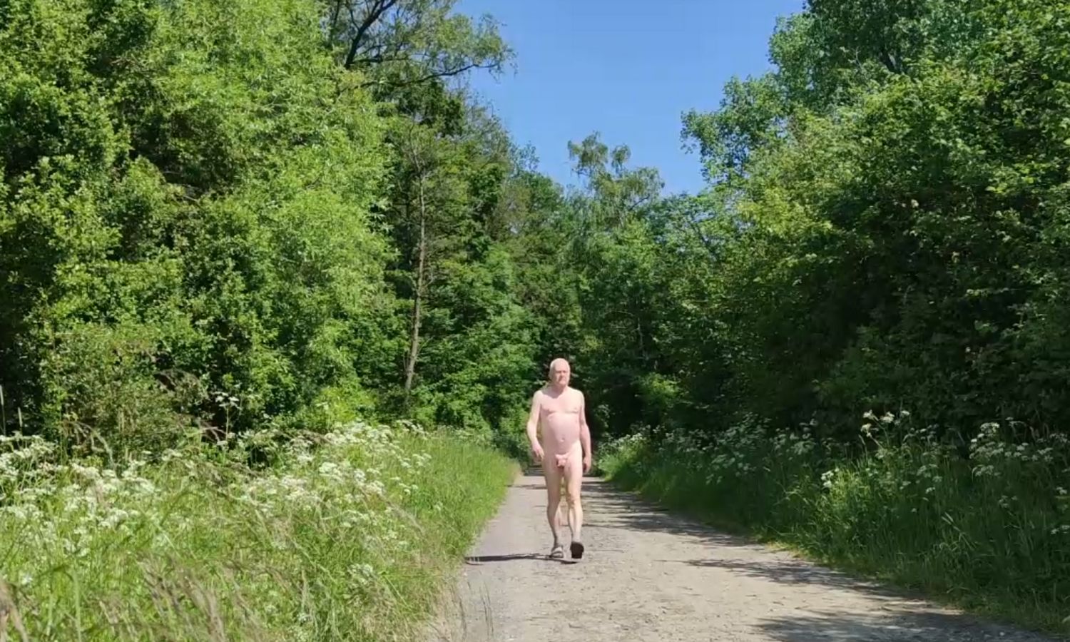In der Pfingstsonne auf dem Waldweg