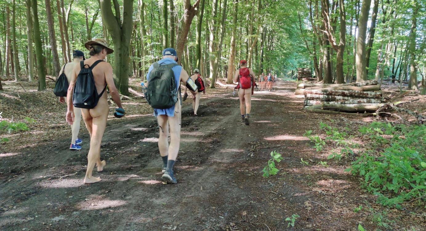 1(2) Der Wirtschaftswald aus Bäumen, Baumstämmen und Fahrwegen