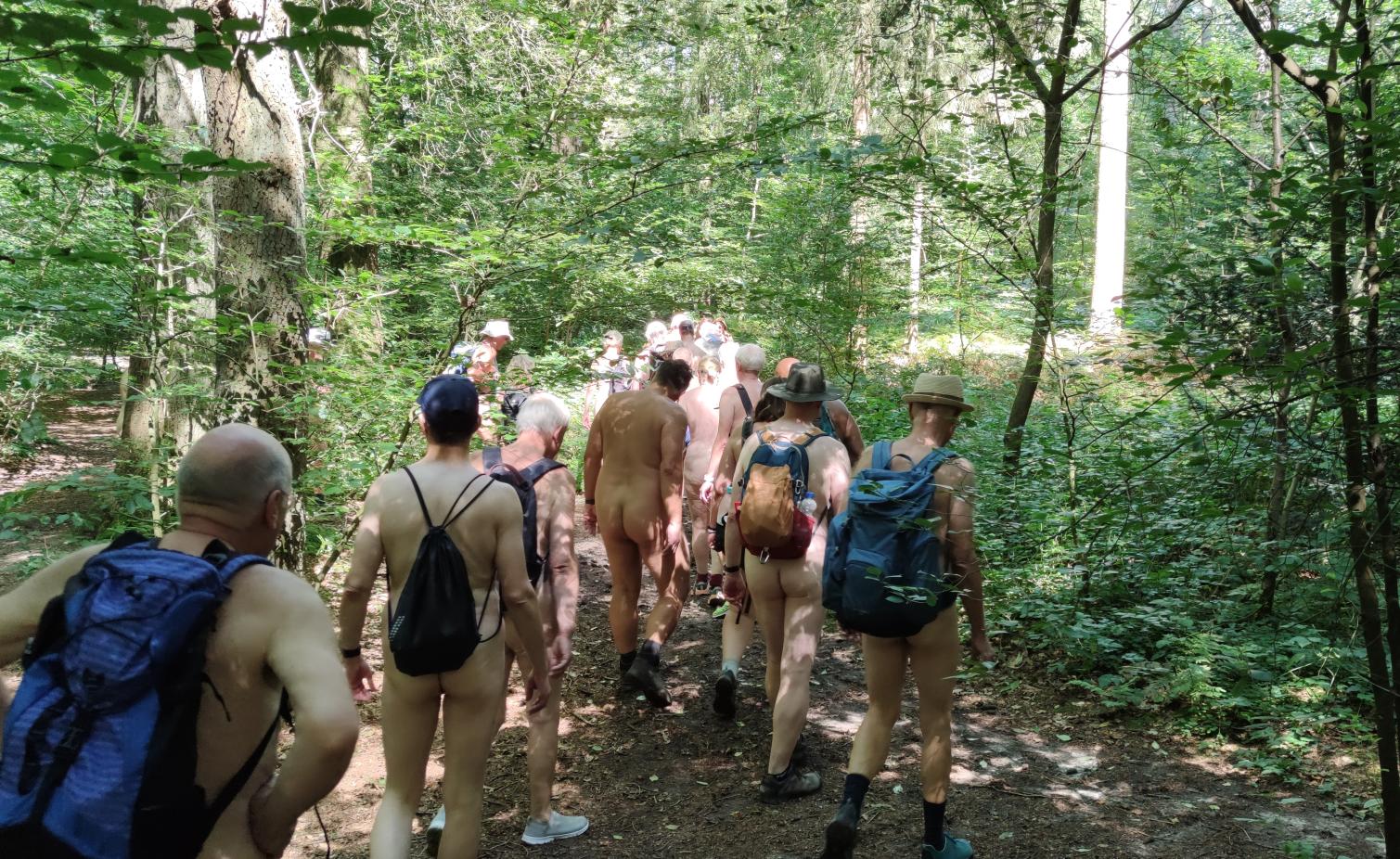 9(9) Zurück im Wald der Bockholter Berge