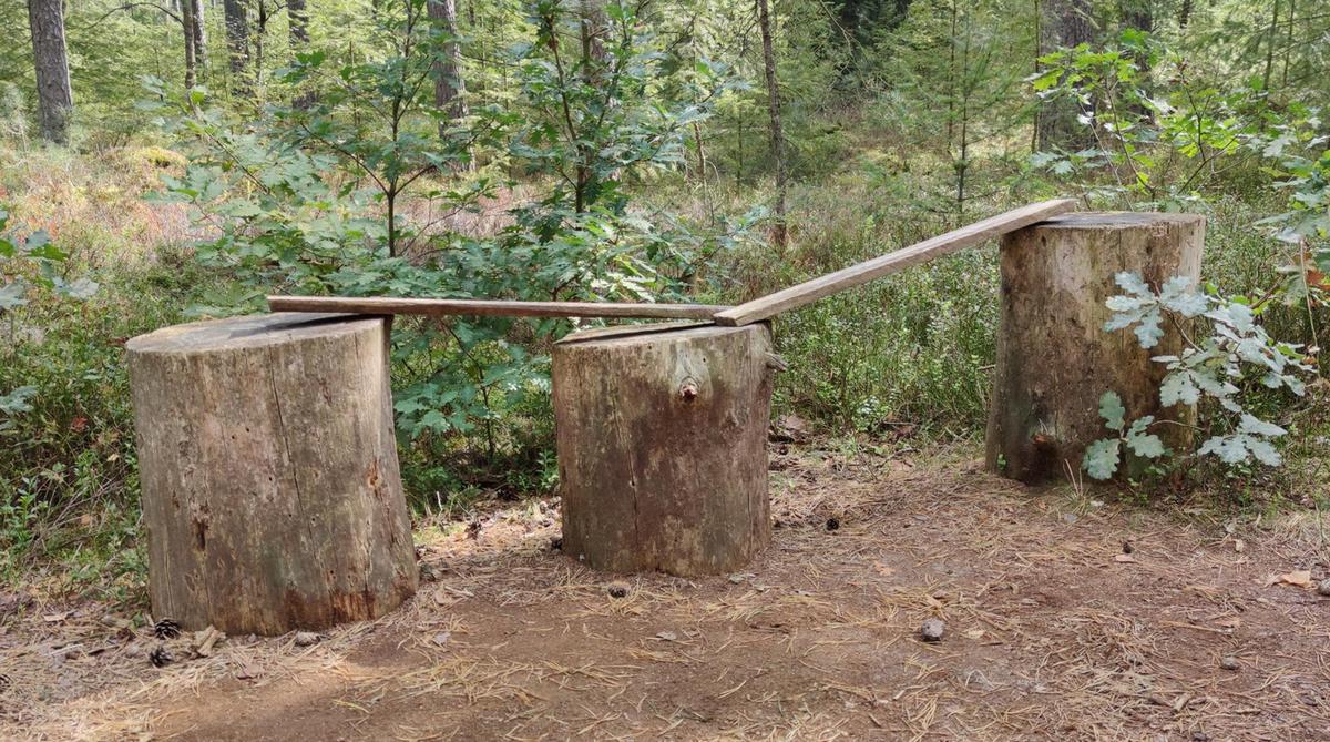 2(4) Eine robuste Naturbank älterer Konstruktion