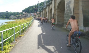 Elbtal in Königstein