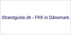strandguide dk 250